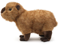 Uni Toys - Capybara, standing - 27 cm Soft Plush Toy - Guzzgoggs
