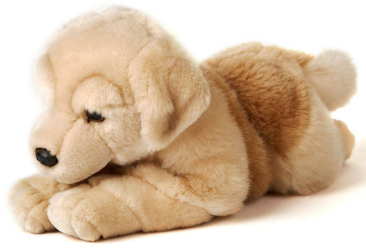 Uni Toys - Golden Retriever Soft Plush Toy - Guzzgoggs