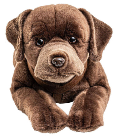 Uni Toys - Labrador, lying down, 65cm long with harness (Chocolate Brown) - cuddly/plush - Guzzgoggs