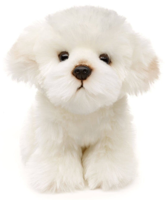 Uni Toys - Maltese dog - 18 cm (height) - cuddly/plush toy - Guzzgoggs