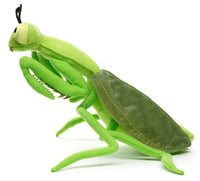 Uni Toys - Praying Mantis - 34 cm (length) - cuddly/plush toy - Guzzgoggs