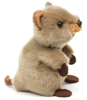 Uni Toys - Quokka - 20 cm (length) - Soft/Plush Toy - Guzzgoggs