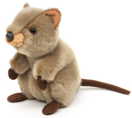 Uni Toys - Quokka - 20 cm (length) - Soft/Plush Toy - Guzzgoggs