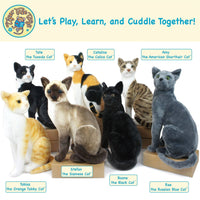 VIAHART Rae The Russian Blue Cat 13 Inch Stuffed Animal Plush - Guzzgoggs