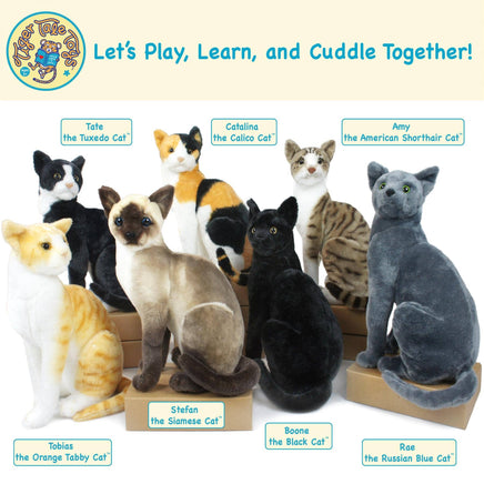 VIAHART Stefan The Siamese Cat 13 Inch Stuffed Animal Plush - Guzzgoggs