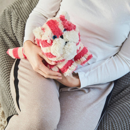 Warmies - Bagpuss® Cat - Guzzgoggs