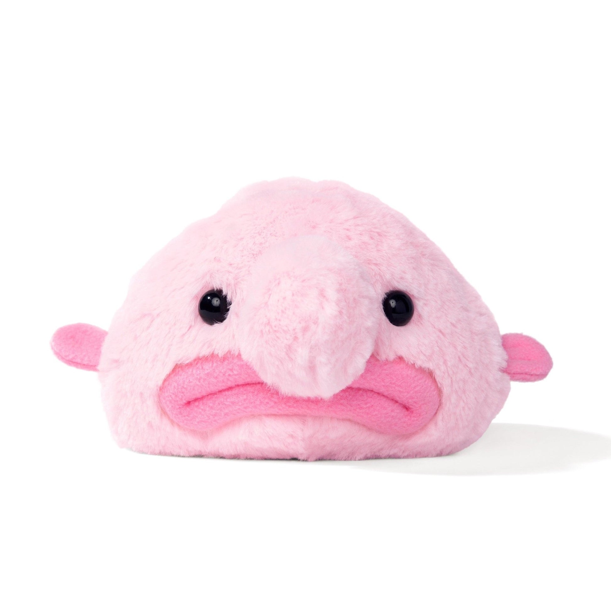 Blobby the Blobfish (Blob Fish) - Guzzgoggs