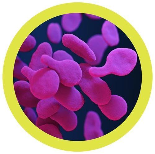 Giant Microbe Original Mycoplasma Plush Educational Toy - Guzzgoggs