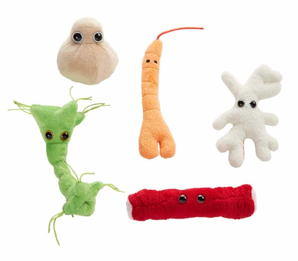Giant Microbes Body Cells Themed Box Set - Guzzgoggs