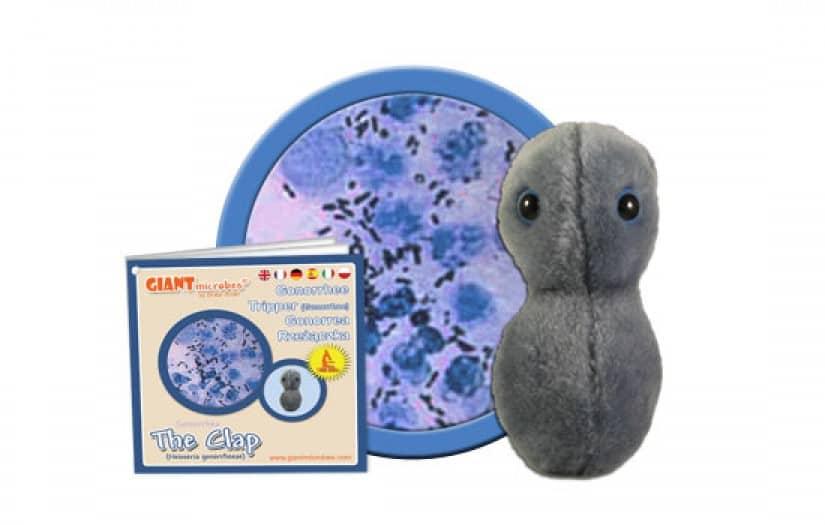 Giant Microbes Clap Gonorrhea Neisseria - Guzzgoggs