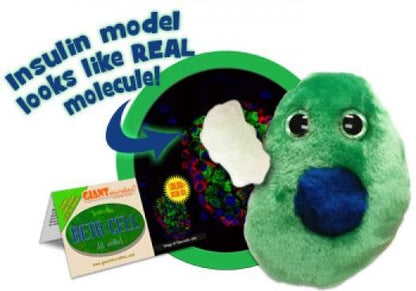 Giant Microbes Diabetes Beta Cell Insulin Β Cells - Guzzgoggs
