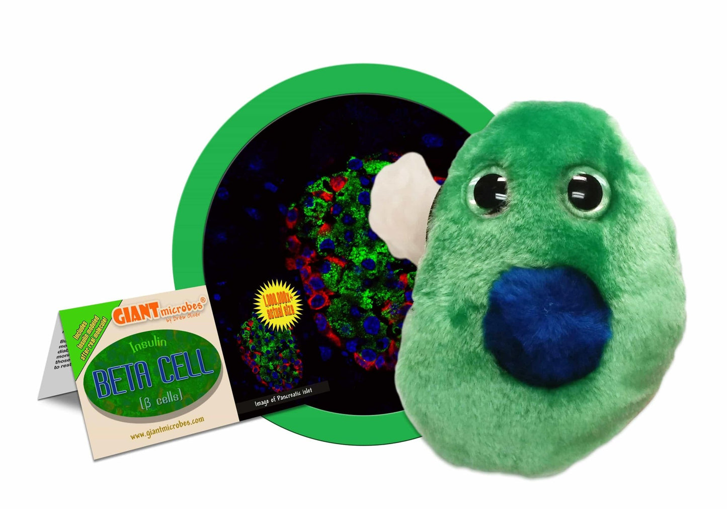 Giant Microbes Diabetes Beta Cell Insulin Β Cells - Guzzgoggs