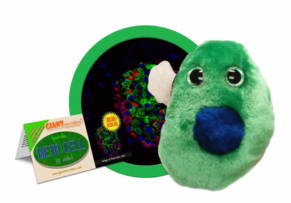 Giant Microbes Diabetes Beta Cell Insulin Β Cells - Guzzgoggs