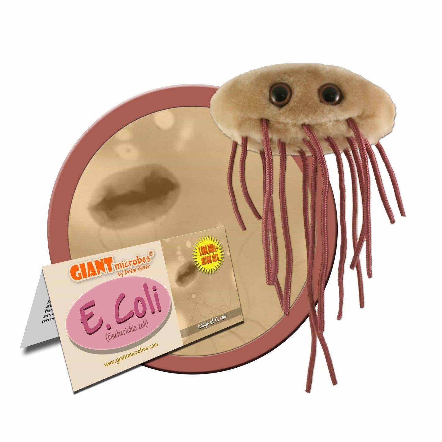 Giant Microbes E. Coli Escherichia Coli - Guzzgoggs