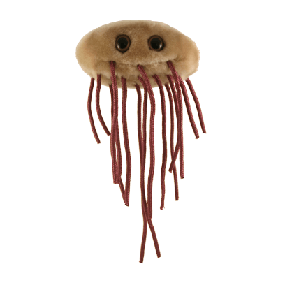 Giant Microbes E. Coli Escherichia Coli - Guzzgoggs