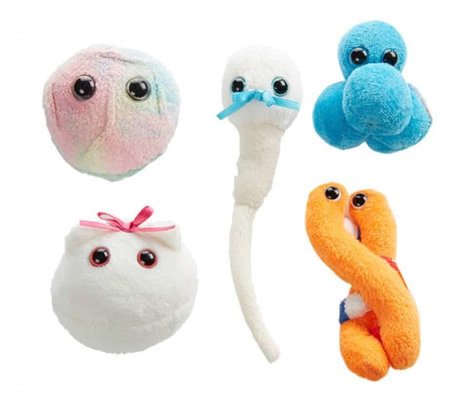 Giant Microbes Lets Get It On Themed Gift Box - Guzzgoggs