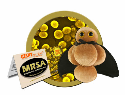 Giant Microbes MRSA Methicillin - Resistant Staphylococcus Aureus - Guzzgoggs