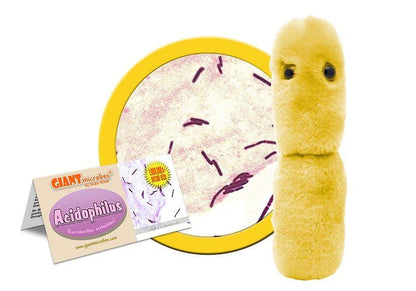 Giant Microbes Original Acidophilus Plush Educational Toy - Guzzgoggs
