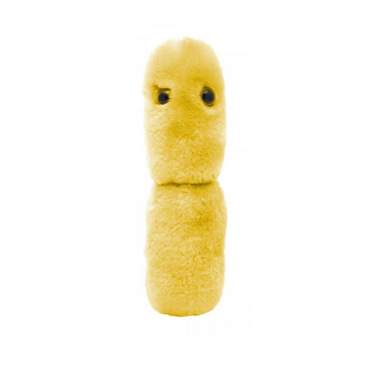 Giant Microbes Original Acidophilus Plush Educational Toy - Guzzgoggs