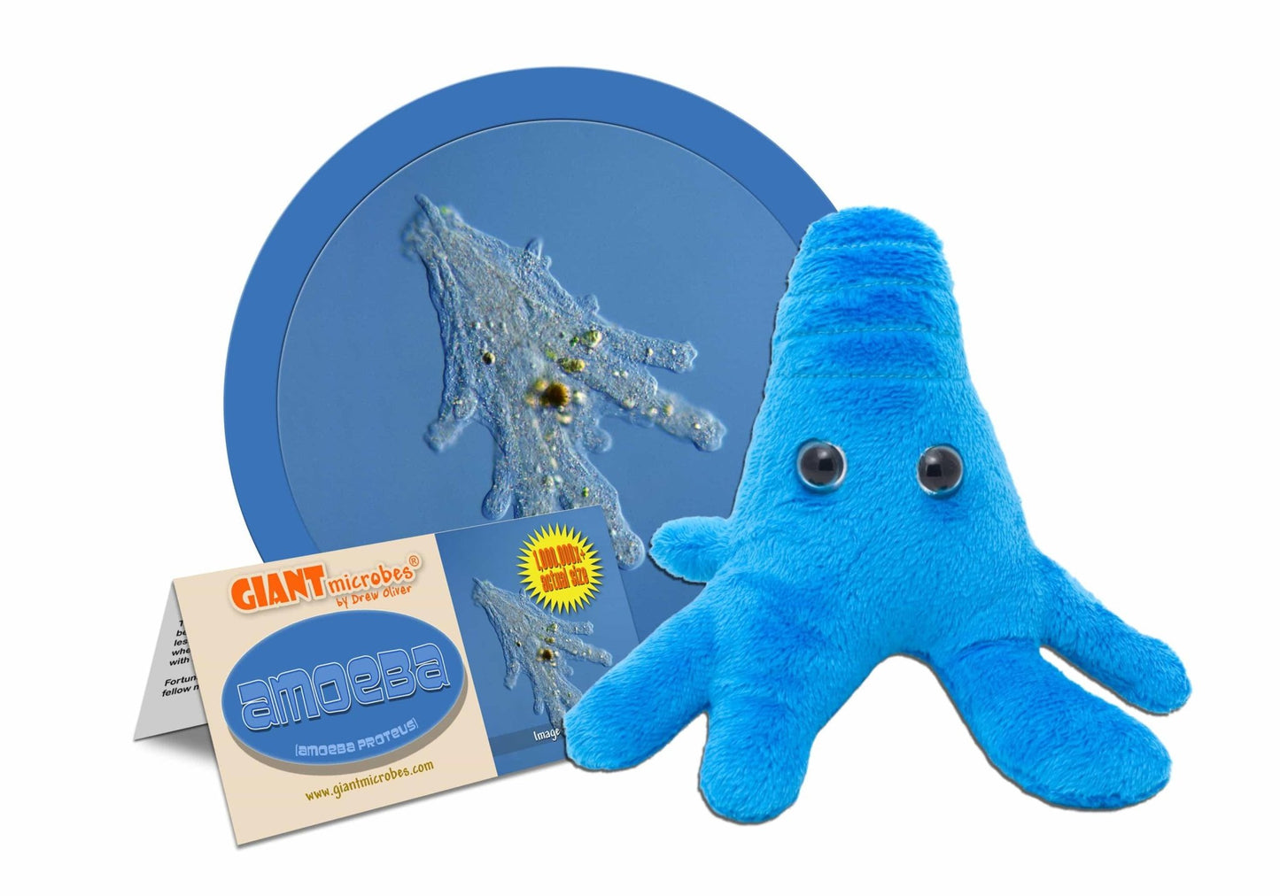 Giant Microbes Original Amoeba Proteus - Guzzgoggs