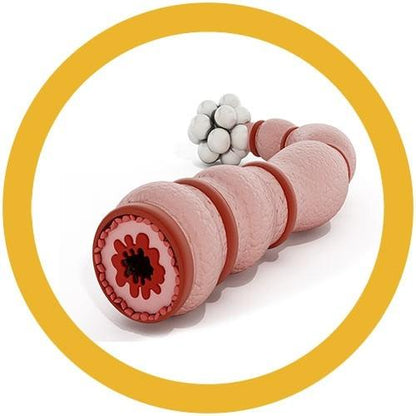 Giant Microbes Original Asthma - Guzzgoggs