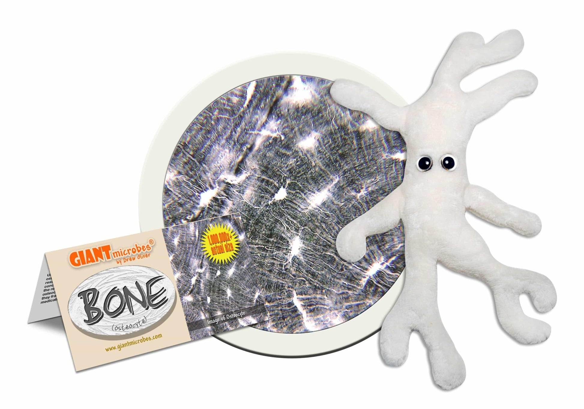 Giant Microbes Original Bone Cell Osteocyte - Guzzgoggs
