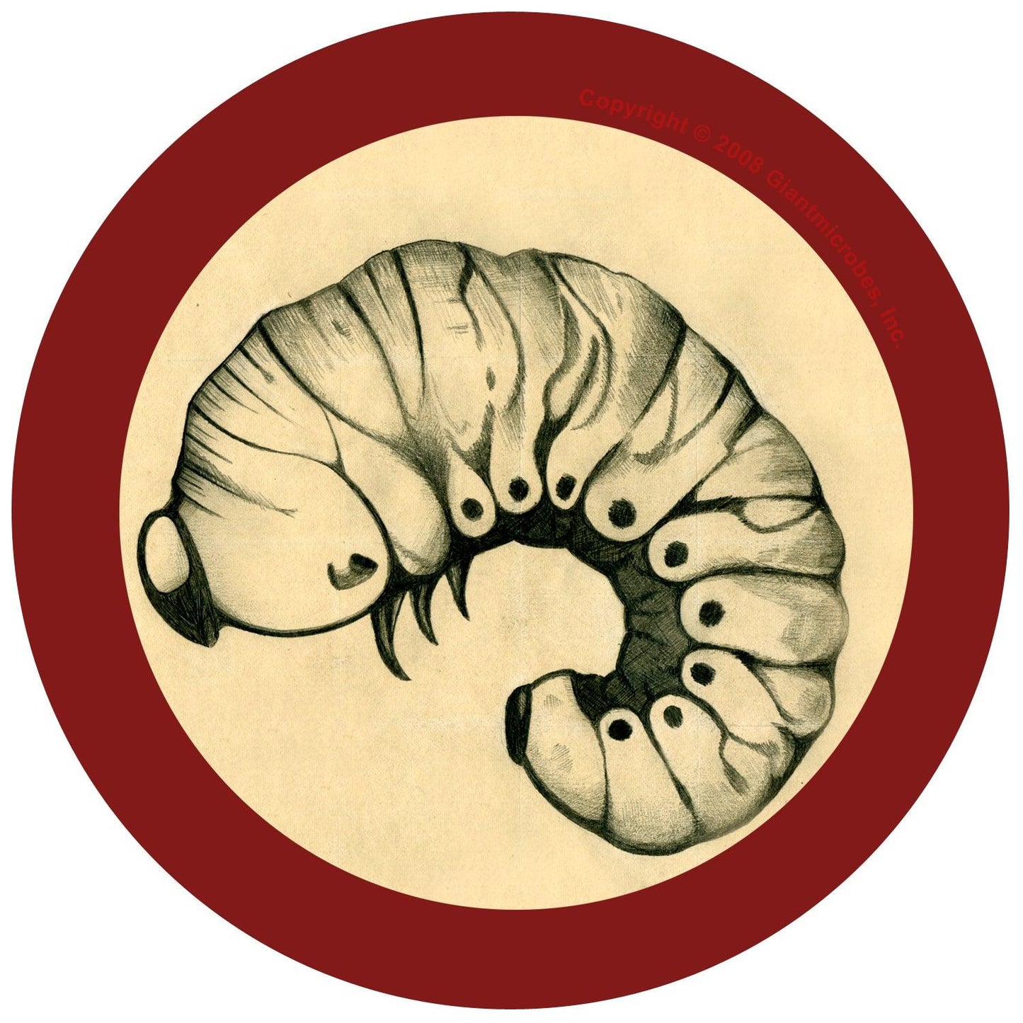 Giant Microbes Original Bookworm - Guzzgoggs