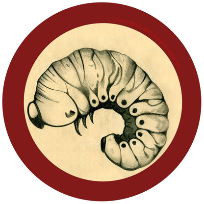 Giant Microbes Original Bookworm - Guzzgoggs
