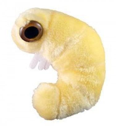 Giant Microbes Original Bookworm - Guzzgoggs
