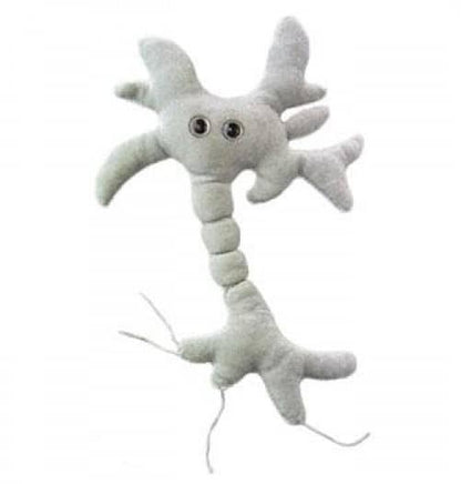 Giant Microbes Original Brain Cell (Neuron) - Guzzgoggs