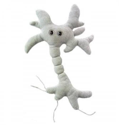 Giant Microbes Original Brain Cell (Neuron) - Guzzgoggs