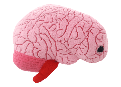 Giant Microbes Original Brain Organ - Guzzgoggs