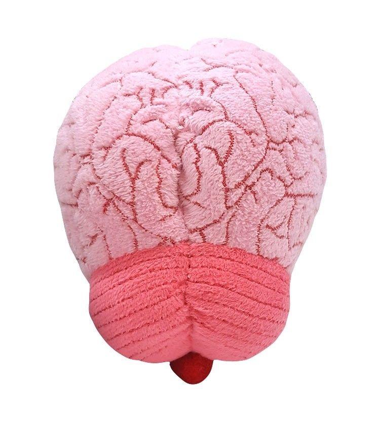 Giant Microbes Original Brain Organ - Guzzgoggs