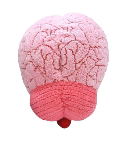 Giant Microbes Original Brain Organ - Guzzgoggs