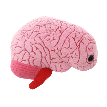 Giant Microbes Original Brain Organ - Guzzgoggs