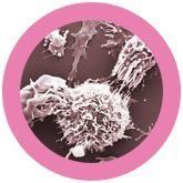 Giant Microbes Original Breast Cancer (Turns Inside Out) - Guzzgoggs