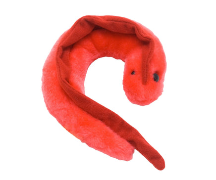 Giant Microbes Original Chagas (Trypanosoma Cruzi) Plush Educational Toy - Guzzgoggs
