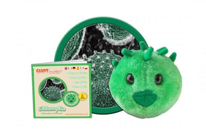 Giant Microbes Original Chlamydia - Guzzgoggs
