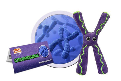 Giant Microbes Original Chromosome Plush Educational Toy - Guzzgoggs