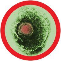 Giant Microbes Original Cold Sore (Herpes Simplex Virus - 1) Plush Educational Toy - Guzzgoggs