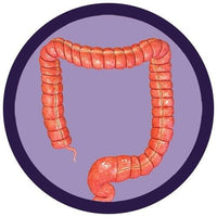 Giant Microbes Original Colon - Guzzgoggs