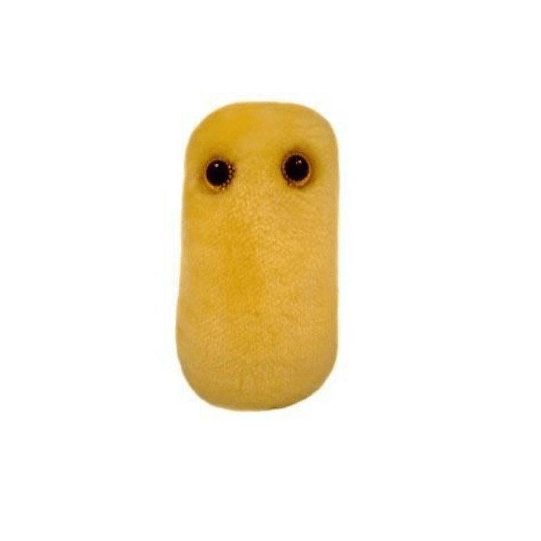 Giant Microbes Original Cough (Bordetella Pertussis) Plush Educational Toy - Guzzgoggs