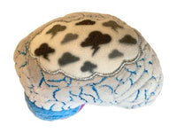 Giant Microbes Original Depression - Guzzgoggs