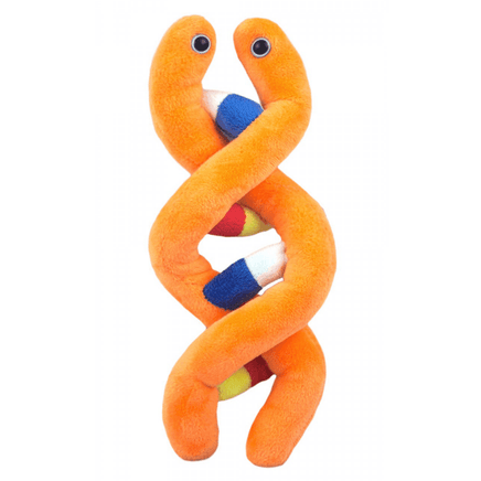 Giant Microbes Original DNA (Deoxyribonucleic Acid) - Guzzgoggs