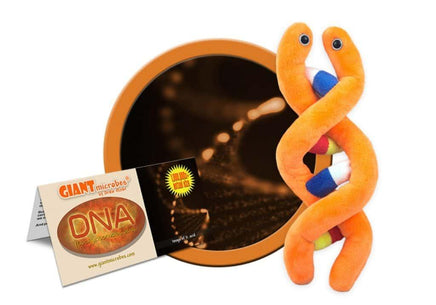 Giant Microbes Original DNA (Deoxyribonucleic Acid) - Guzzgoggs