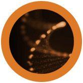 Giant Microbes Original DNA (Deoxyribonucleic Acid) - Guzzgoggs