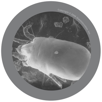 Giant Microbes Original Dust Mite - Guzzgoggs