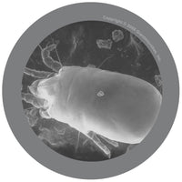 Giant Microbes Original Dust Mite - Guzzgoggs