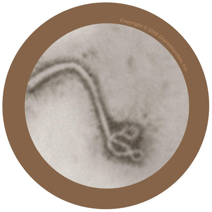 Giant Microbes Original Ebola Virus - Guzzgoggs