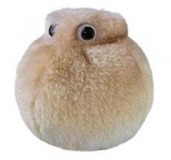Giant Microbes Original Fat Cell (Adipocyte) - Guzzgoggs